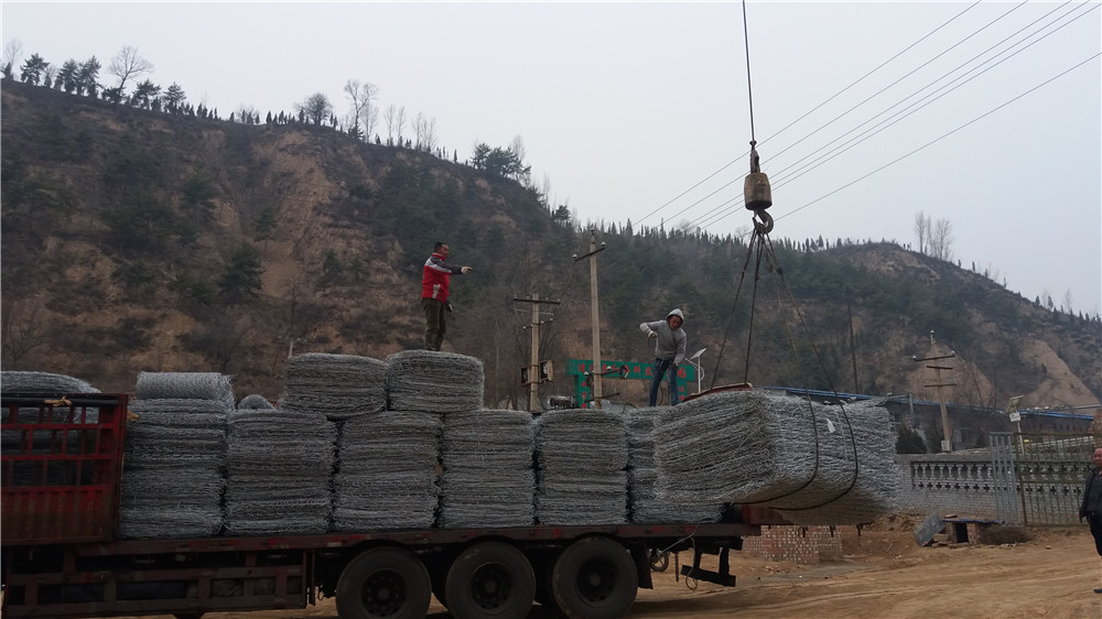 清河县红枣科技示范园石笼网防护工程